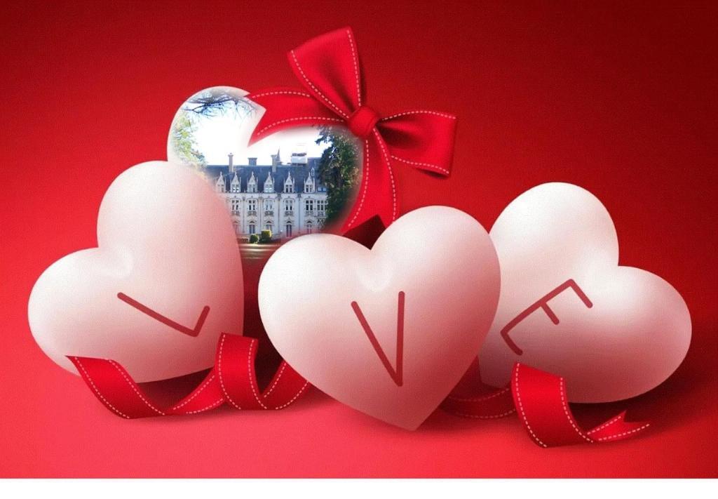 Charmant Studio Au Calme Tout Confort Dans Chateau Neo Gothique Proche Zenith Comet Orleans Parking Voiture Gratuit Wifi Haut Debit Rue Des Montees Buitenkant foto