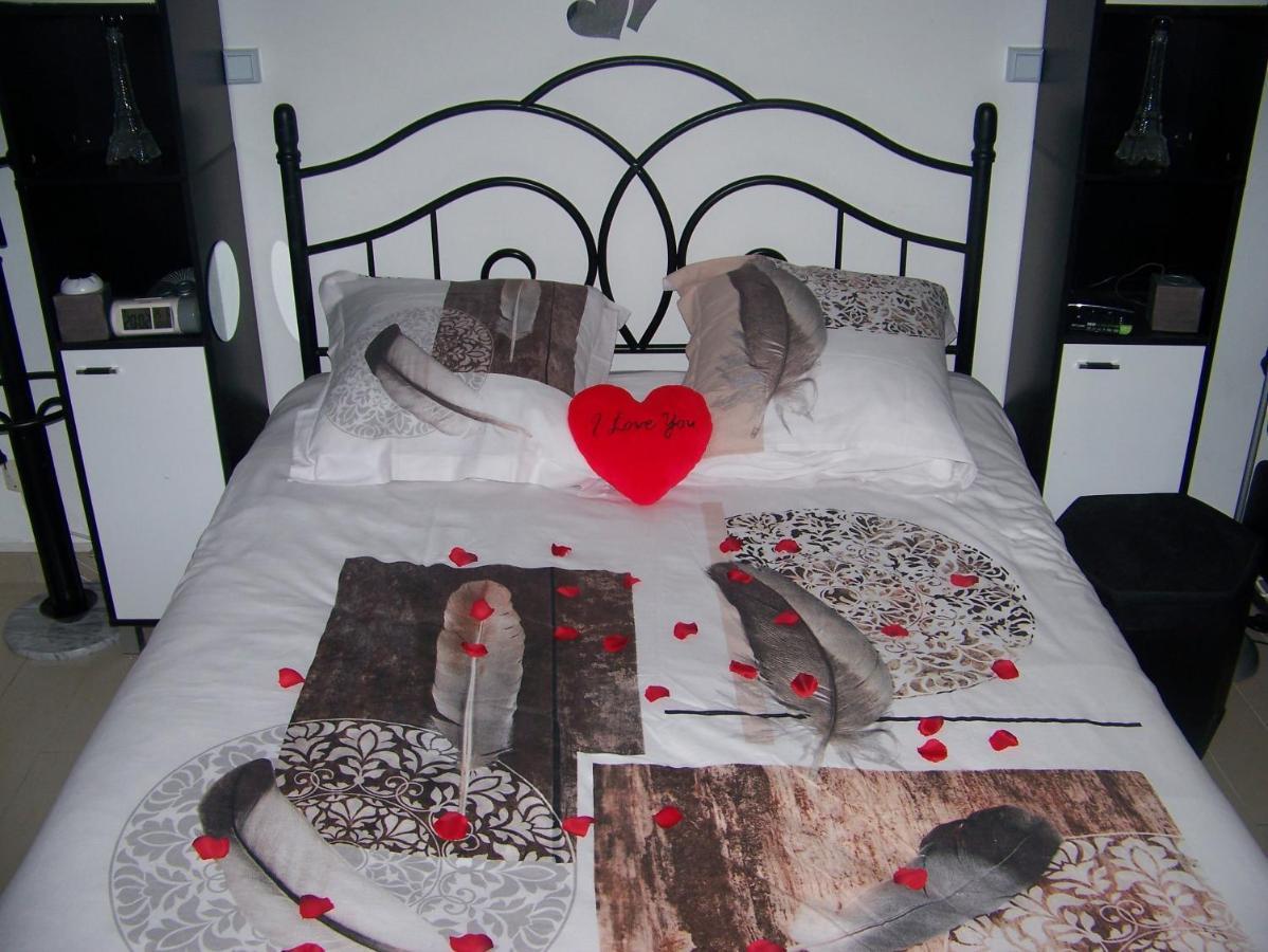 Charmant Studio Au Calme Tout Confort Dans Chateau Neo Gothique Proche Zenith Comet Orleans Parking Voiture Gratuit Wifi Haut Debit Rue Des Montees Buitenkant foto