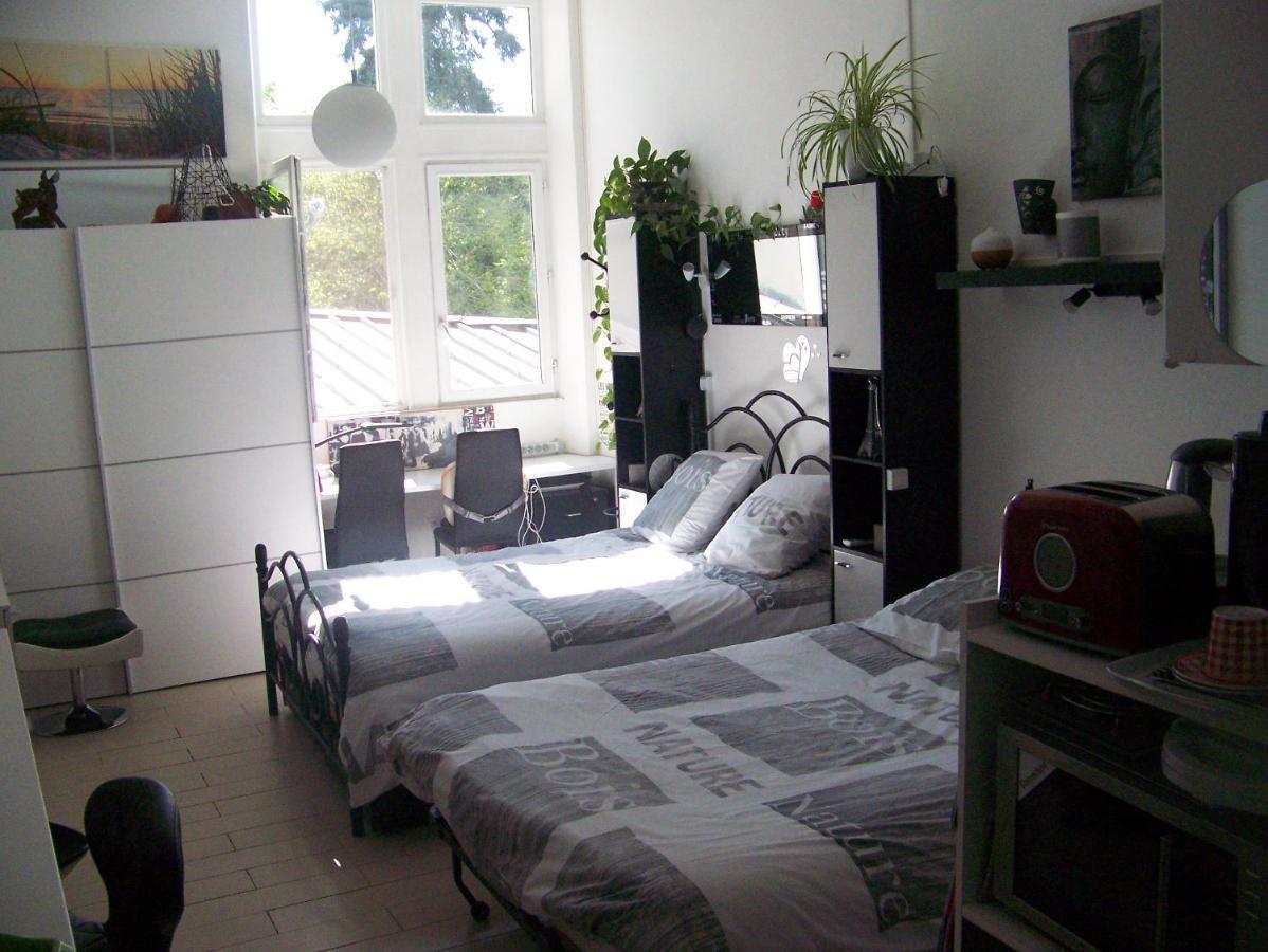 Charmant Studio Au Calme Tout Confort Dans Chateau Neo Gothique Proche Zenith Comet Orleans Parking Voiture Gratuit Wifi Haut Debit Rue Des Montees Buitenkant foto