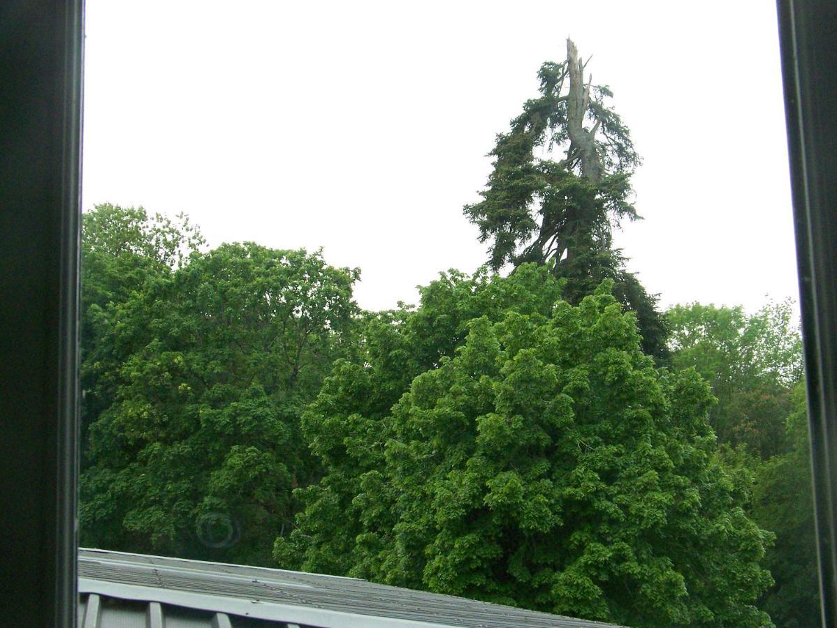 Charmant Studio Au Calme Tout Confort Dans Chateau Neo Gothique Proche Zenith Comet Orleans Parking Voiture Gratuit Wifi Haut Debit Rue Des Montees Buitenkant foto
