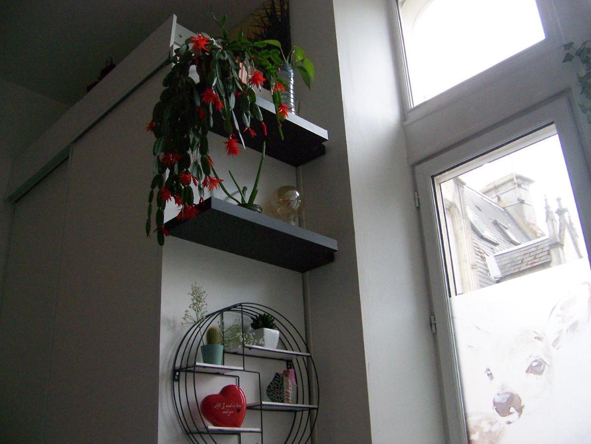 Charmant Studio Au Calme Tout Confort Dans Chateau Neo Gothique Proche Zenith Comet Orleans Parking Voiture Gratuit Wifi Haut Debit Rue Des Montees Buitenkant foto